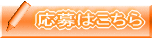 応募はこちら